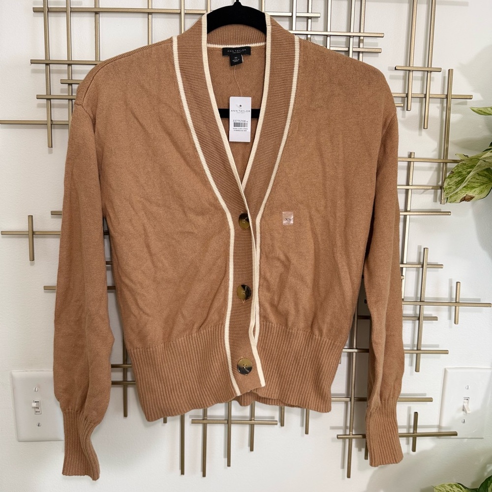 Nwt Ann Taylor v neck sweater XS